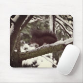 Eichhörnchen Winter Foto Mousepad (Mit Mouse)