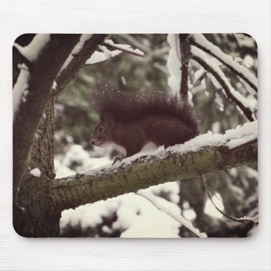 Eichhörnchen Winter Foto Mousepad (Vorne)