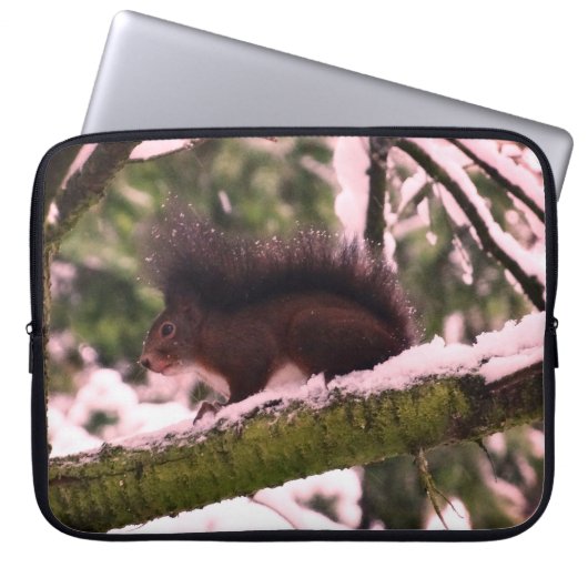 Eichhörnchen Winter Foto Neoprenschläfer 15" Laptopschutzhülle (Vorderseite)