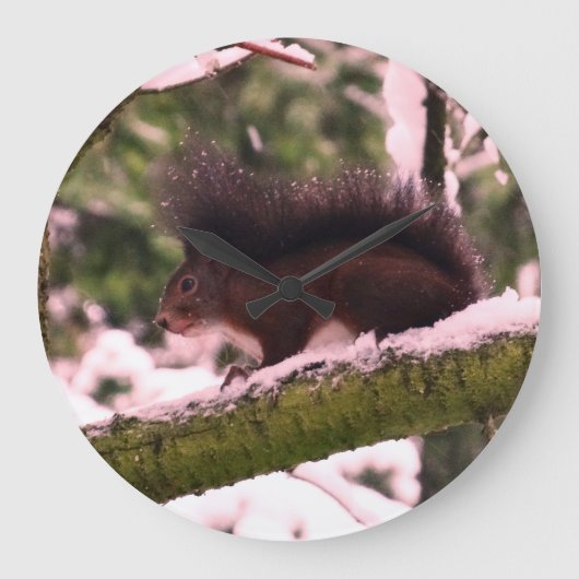 Eichhörnchen Winter Foto Round Wall Uhr (Vorderseite)