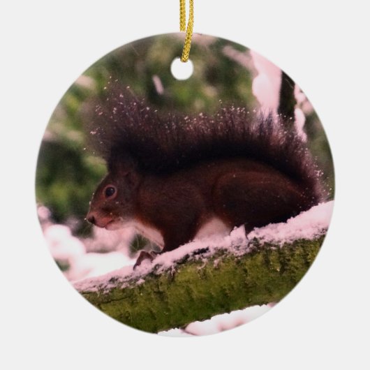 Eichhörnchen-Winterfoto-Kreisornament Keramikornament (Vorne)