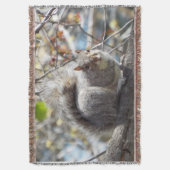 Eichhörnchen-Wurfsdecke Decke (Vorderseite Vertikal)