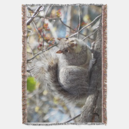 Eichhörnchen-Wurfsdecke Decke (Vorderseite Vertikal)
