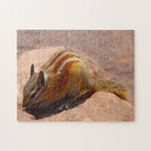 Eichhörnchen Yellowstone. Puzzle (Horizontal)