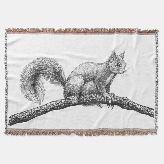 Eichhörnchen zeichnend decke (Vorderseite)