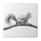 Eichhörnchen zeichnend fliese (Vorderseite)