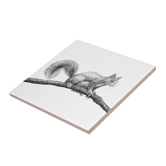 Eichhörnchen zeichnend fliese (Seite)
