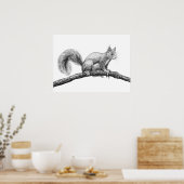 Eichhörnchen zeichnend poster (Küche)