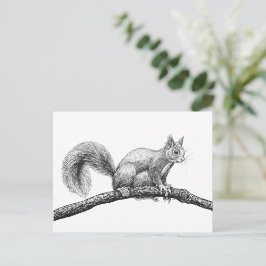 Eichhörnchen zeichnend postkarte (Stehend Vorderseite)