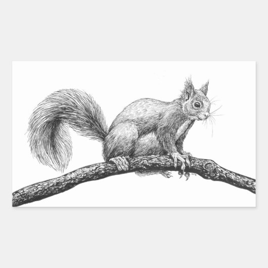 Eichhörnchen zeichnend rechteckiger aufkleber (Vorderseite)