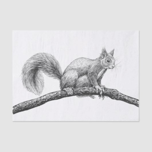 Eichhörnchen zeichnend seidenpapier (Vorderseite)