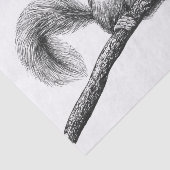 Eichhörnchen zeichnend seidenpapier (Ausschnitt)