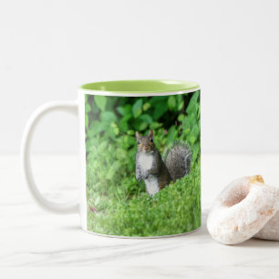 Eichhörnchen Zweifarbige Tasse