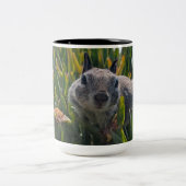 Eichhörnchen Zweifarbige Tasse (Mittel)
