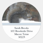 Eichhörnchenadressen Runder Aufkleber (Vorderseite)