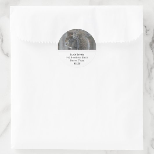 Eichhörnchenadressen Runder Aufkleber (Tasche)