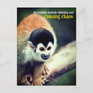 Eichhörnchenaffe im Baum Postkarte