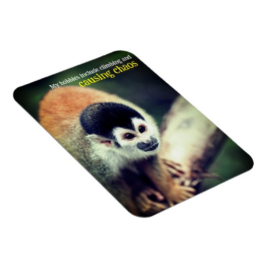 Eichhörnchenaffe Magnet (Rechte Seite)