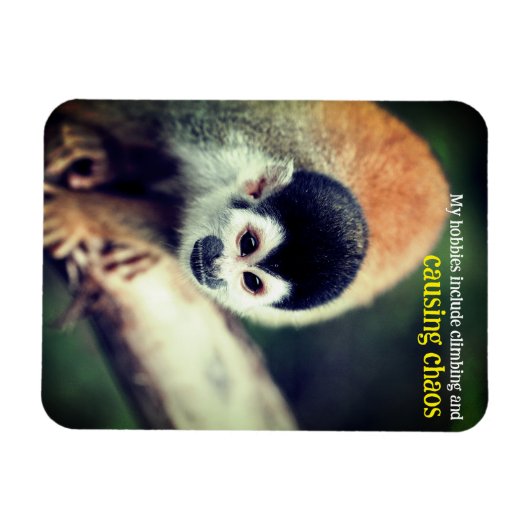 Eichhörnchenaffe Magnet (Horizontal)