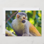Eichhörnchenaffe Manuel Antonio NP - Costa Rica Einladung (Vorderseite)