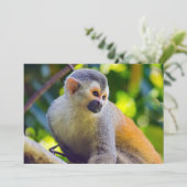 Eichhörnchenaffe Manuel Antonio NP - Costa Rica Einladung (Stehend Vorderseite)