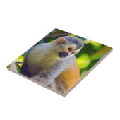 Eichhörnchenaffe Manuel Antonio NP - Costa Rica Fliese (Seite)