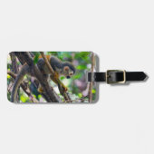 Eichhörnchenaffe Manuel Antonio NP - Costa Rica Gepäckanhänger (Vorderseite horizontal)