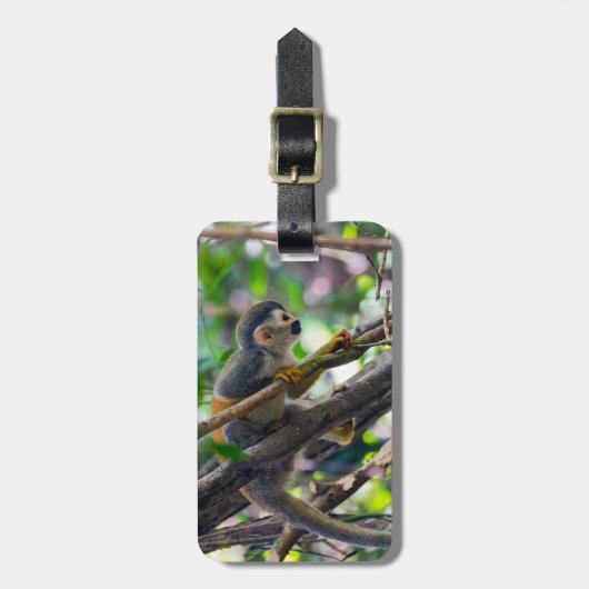 Eichhörnchenaffe Manuel Antonio NP - Costa Rica Gepäckanhänger (Vorderseite vertikal)