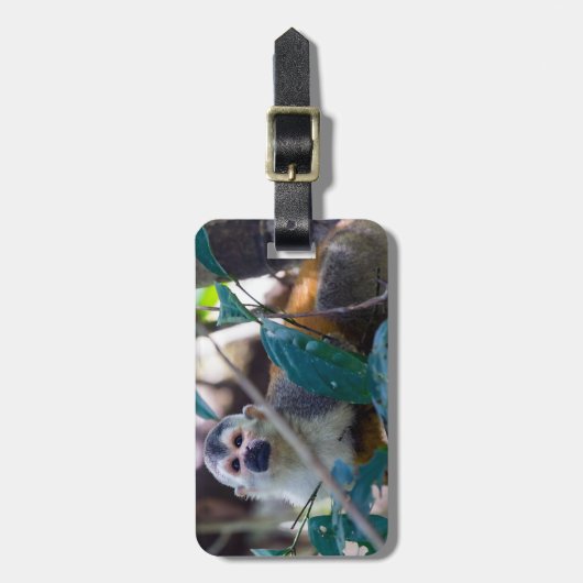 Eichhörnchenaffe Manuel Antonio NP - Costa Rica Gepäckanhänger (Vorderseite vertikal)