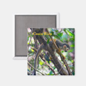 Eichhörnchenaffe Manuel Antonio NP - Costa Rica Magnet (Vorderseite/Rückseite)