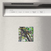 Eichhörnchenaffe Manuel Antonio NP - Costa Rica Magnet (In Situ (Geschirrspüler))
