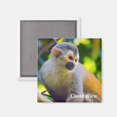 Eichhörnchenaffe Manuel Antonio NP - Costa Rica Magnet (Vorderseite/Rückseite)