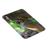 Eichhörnchenaffe Manuel Antonio NP - Costa Rica Magnet (Rechte Seite)