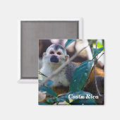 Eichhörnchenaffe Manuel Antonio NP - Costa Rica Magnet (Vorderseite/Rückseite)