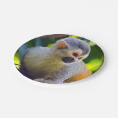 Eichhörnchenaffe Manuel Antonio NP - Costa Rica Pappteller (Schrägansicht)
