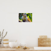 Eichhörnchenaffe Manuel Antonio NP - Costa Rica Poster (Küche)