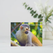 Eichhörnchenaffe Manuel Antonio NP - Costa Rica Postkarte (Stehend Vorderseite)