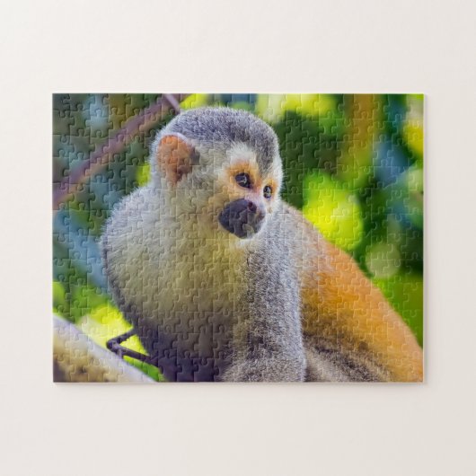 Eichhörnchenaffe Manuel Antonio NP - Costa Rica Puzzle (Horizontal)