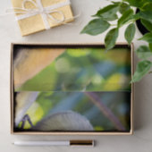 Eichhörnchenaffe Manuel Antonio NP - Costa Rica Seidenpapier (Geschenk)