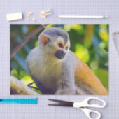 Eichhörnchenaffe Manuel Antonio NP - Costa Rica Seidenpapier (Handwerk)