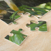 Eichhörnchenaffe (Saimiri sciureus), Rio Puzzle (Seite)