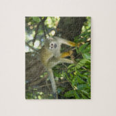 Eichhörnchenaffe (Saimiri sciureus), Rio Puzzle (Vertikal)