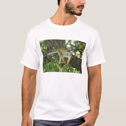 Eichhörnchenaffe (Saimiri sciureus), Rio T-Shirt (Vorderseite)