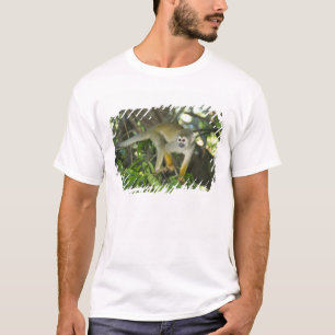 Eichhörnchenaffe (Saimiri sciureus), Rio T-Shirt