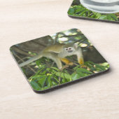 Eichhörnchenaffe (Saimiri sciureus), Rio Untersetzer (Linke Seite)