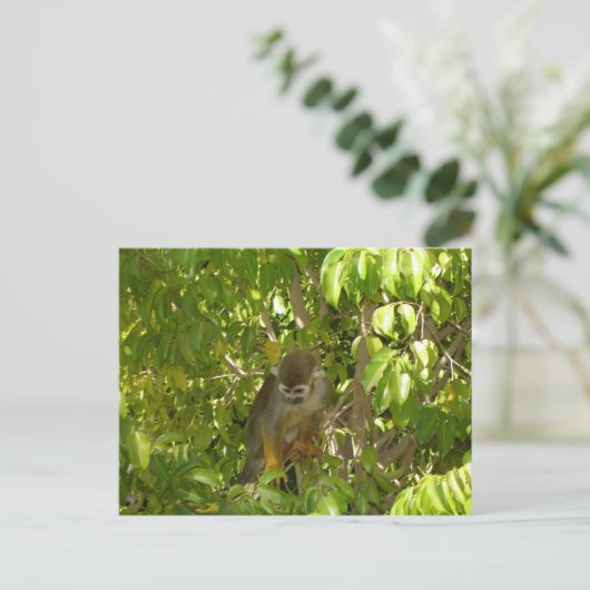 Eichhörnchenaffen Postkarte (Stehend Vorderseite)