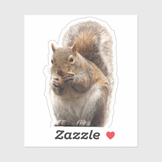 Eichhörnchenaufkleber Aufkleber (Blatt)