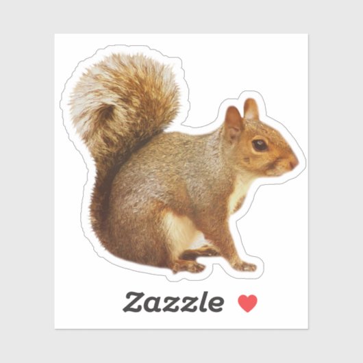 Eichhörnchenaufkleber Aufkleber (Blatt)