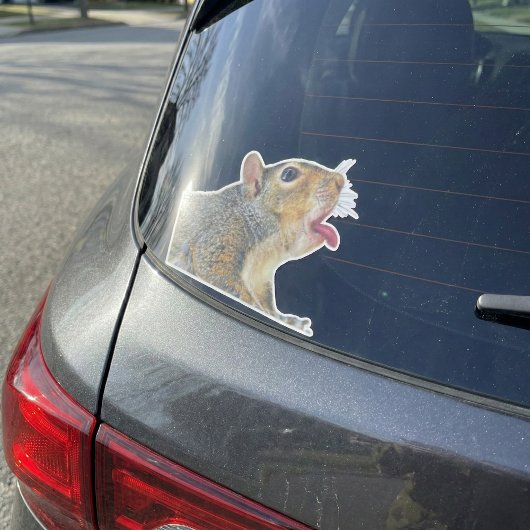 Eichhörnchenaufkleber Aufkleber