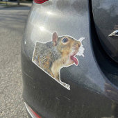 Eichhörnchenaufkleber Aufkleber